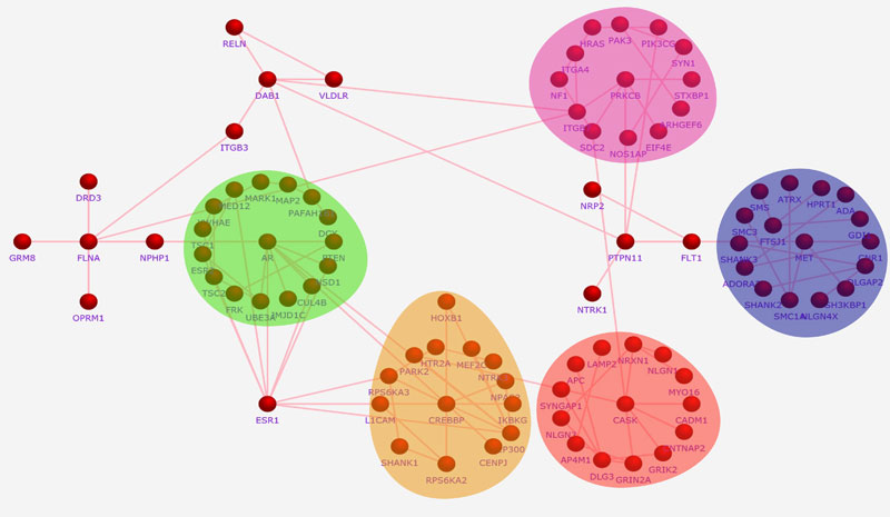 FunRich :: Functional Enrichment Analysis Tool :: Home